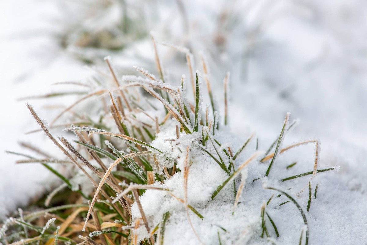 230312Wetterkapriolen News ID: EN 23-03-12 Berg und Tal Fahrt beim Wetter in Sachsen Erst tief winterlich und frostig dann Vorfrühling Erzgebirge. An diesem Wochenende kehrte der Winter mit aller Mach ...