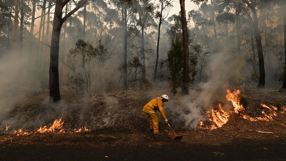 BUSHFIRES NSW, Rural Fire Service volunteers RFS and Fire and Rescue NSW officers FRNSW contain a small bushfire which closed the Princes Highway south of Ulladulla, Sunday, January 5, 2020. Fire crew ...