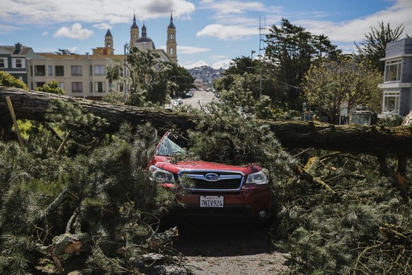 22.03.2023, USA, San Francisco: Ein Baum liegt nach heftigen Regenfällen auf einem Auto in der Parker Avenue. Foto: Gabrielle Lurie/San Francisco Chronicle/AP/dpa - ACHTUNG: Nur zur redaktionellen Ver ...