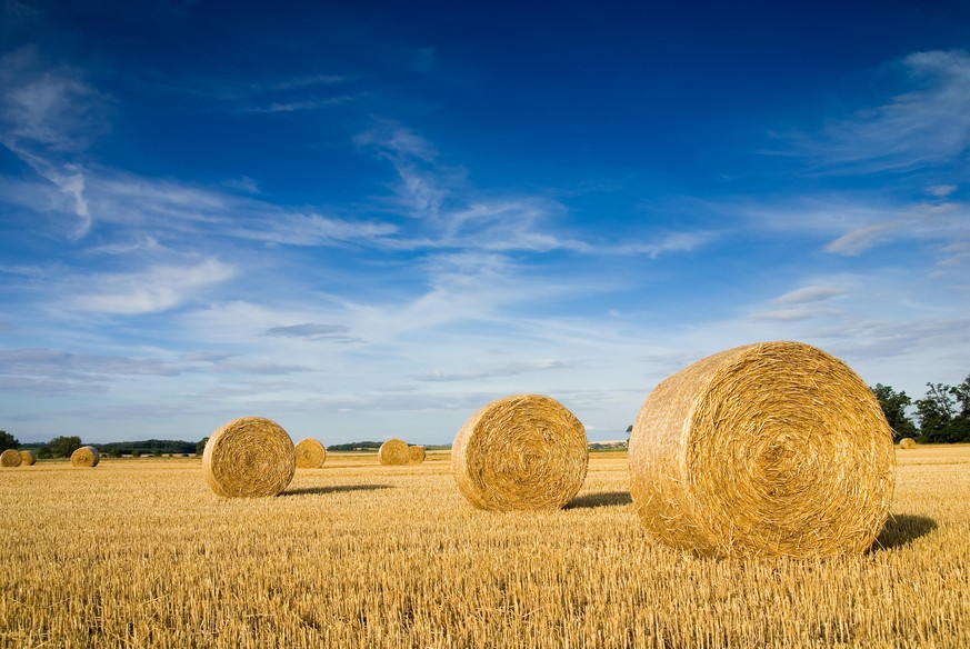 Straw bales on farmland with blue cloudy sky