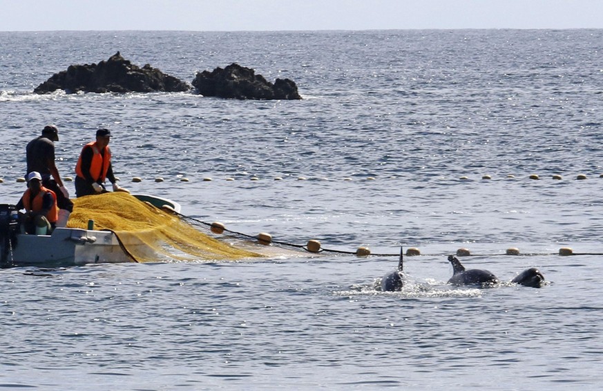 ARCHIV - 01.09.2020, Japan, Taiji: In den Gew