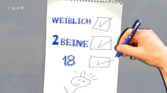 Checkliste von Michael Wendler bei DSDS