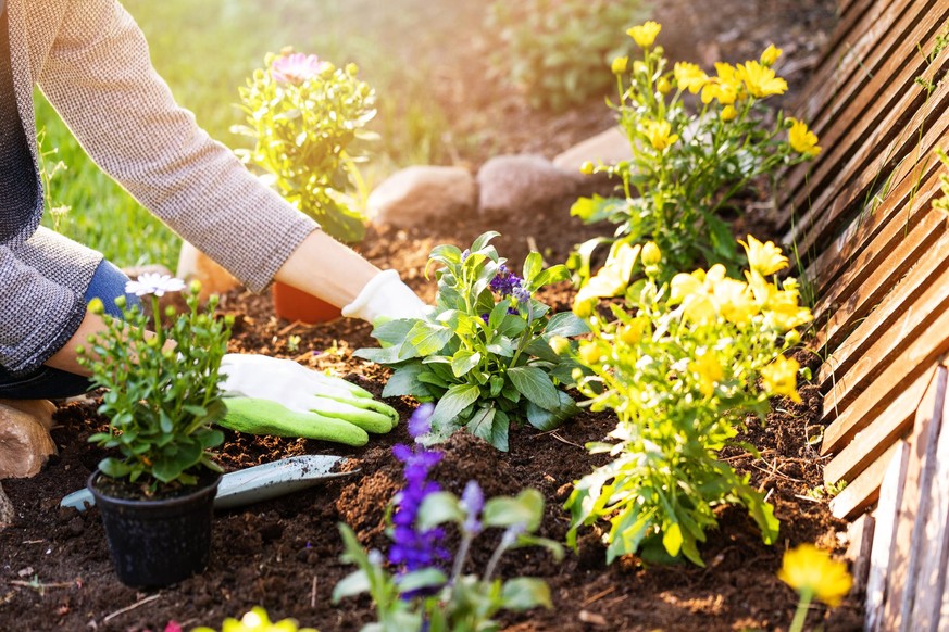 Frau Garten Blumen pflanzend