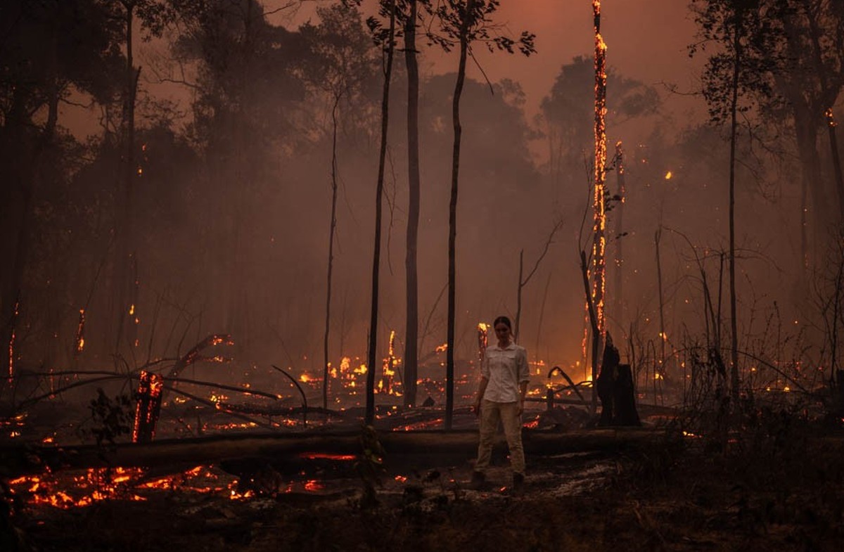 Als Louisa im brasilianischen Regenwald ankommt, ist sie den Tränen nahe: Alles steht in Flammen.