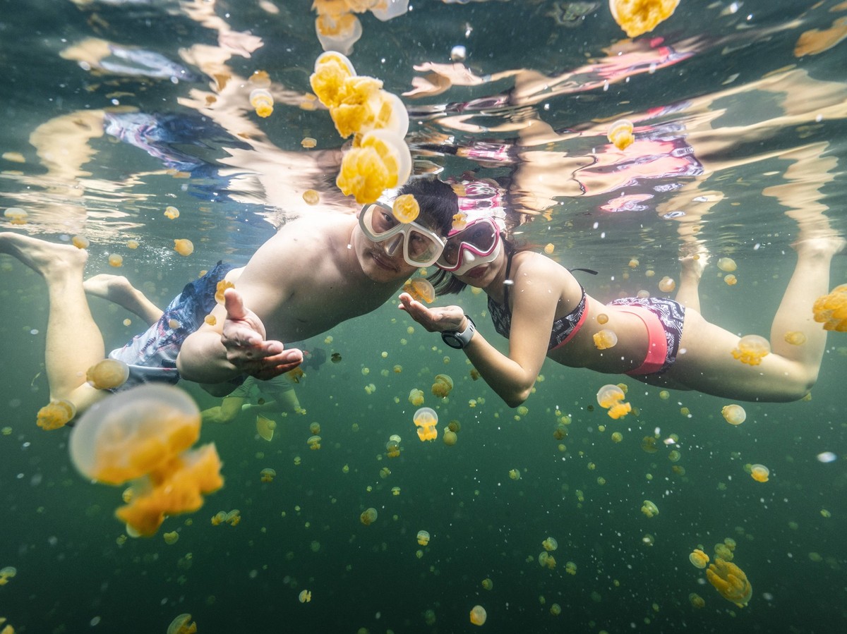 Creative Highlights Symbolbilder couple diving into the jellyfish lake in Raja Ampat Sorong, West Papua, Indonesia CR_THHE241028I-1420678-01 ,model released, Symbolfoto