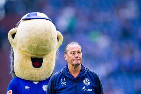 Der Knurrer von Kerkrade soll den Karren aus dem Dreck ziehen: Huub Stevens übernimmt den FC Schalke 04.