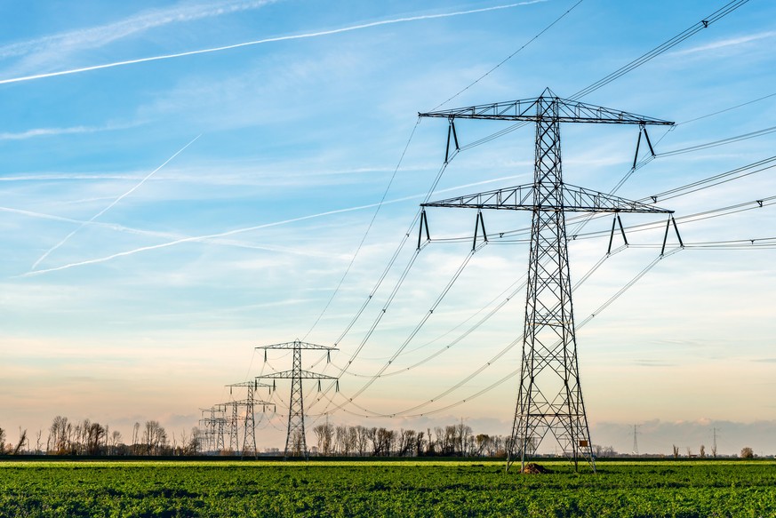 Overview of power pylons and high voltage lines in a long row in a rural landscape. The photo was taken in De Biesbosch, a nature area near the village of Werkendam, North Brabant, Netherlands