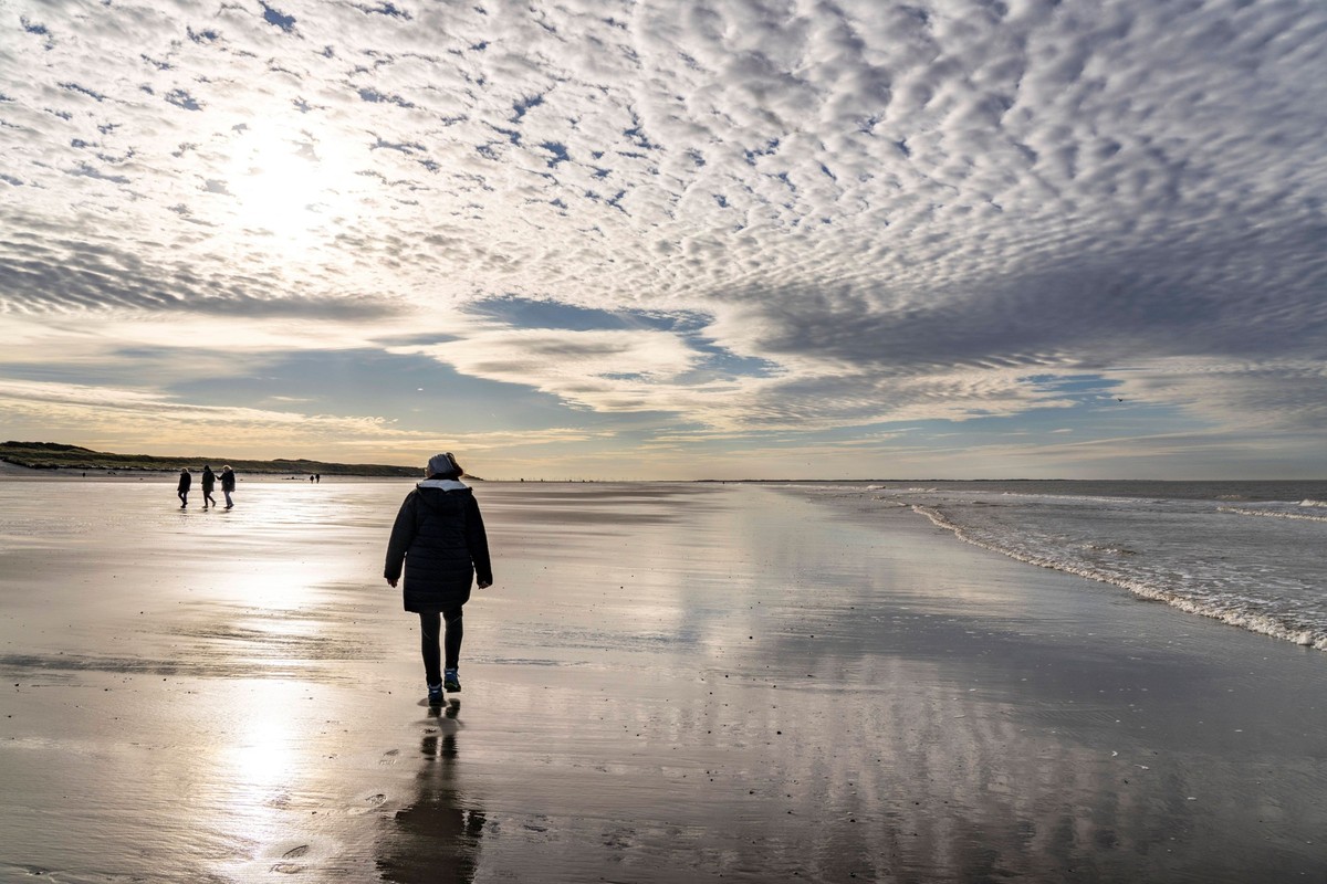 Ein Spaziergang am Wattenmeer könnte so in Zukunft nicht mehr möglich sein.