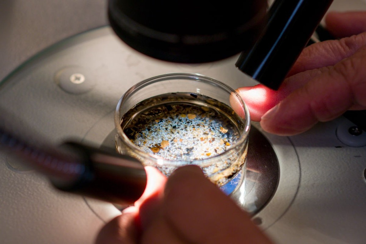 Long Beach, CA - October 01: Shelly Moore, executive director of Moore Institute for Plastic Pollution Research uses a stereo scope to examine a sediment sample to identify microplastics within the sa ...