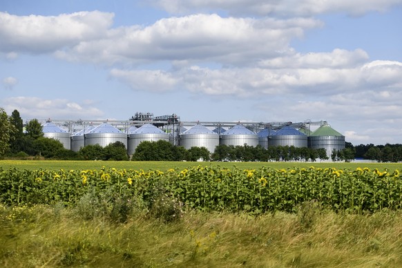 Modern grain elevator among fields in Vinnytsia region, Ukraine. July 2021 (Photo by Maxym Marusenko/NurPhoto)