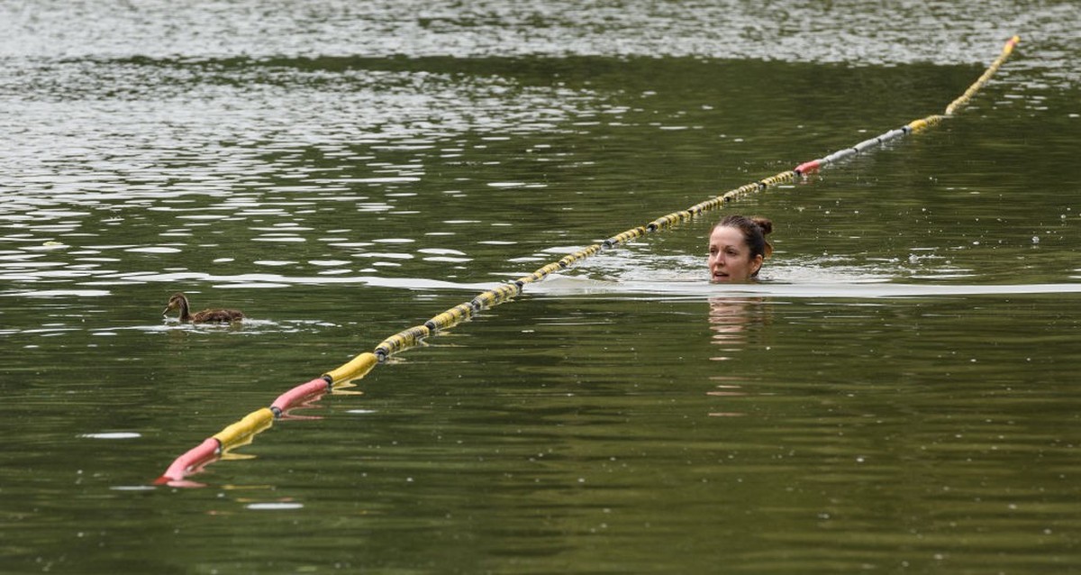 LONDON, ENGLAND - JULY 18: A woman swims past ducks in Beckenham Place Park's restored swimming lake on July 18, 2019 in London, England. On July 22, London will officially become the world' ...
