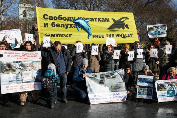 MOSCOW, RUSSIA - FEBRUARY 16, 2019: People take part in a rally in central Moscow to free beluga and orca whales kept in a whale prison off the Russian Pacific coast. A marine containment facility bra ...
