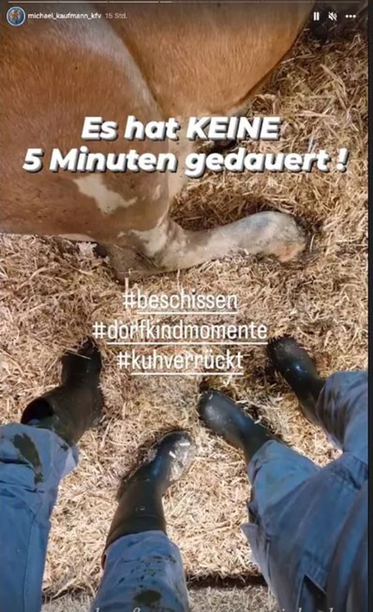 Michael teilte auch Aufnahmen aus dem Stall.