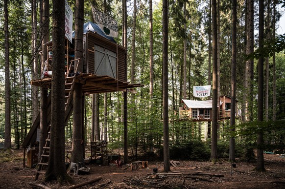 Baumhaus im besetzten Dannenr�der Wald Um die Rodung des Dannenr�der Waldes zum Bau der Autobahn A49 zu verhindern, halten Aktivist*Innen diesen besetzt und haben in ihm Baumh�user errichtet. Auf dem  ...