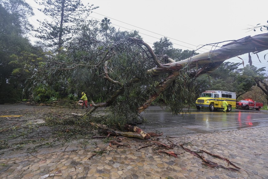 Firefighters clear away a fallen tree in Montecito, Calif., Tuesday, Jan. 10, 2023. California saw little relief from drenching rains Tuesday as the latest in a relentless string of storms swamped roa ...