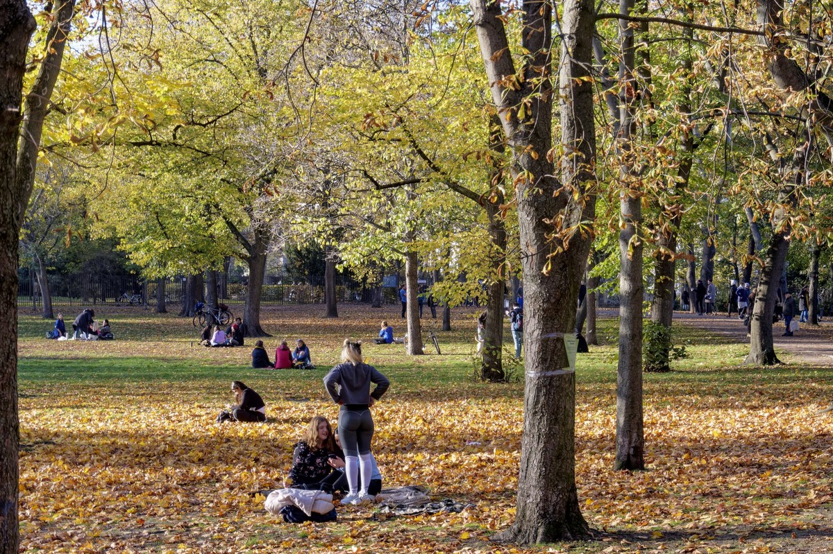 In einem Berliner Park in Prenzlauer Berg haben Passant:innen eine schreckliche Entdeckung gemacht.