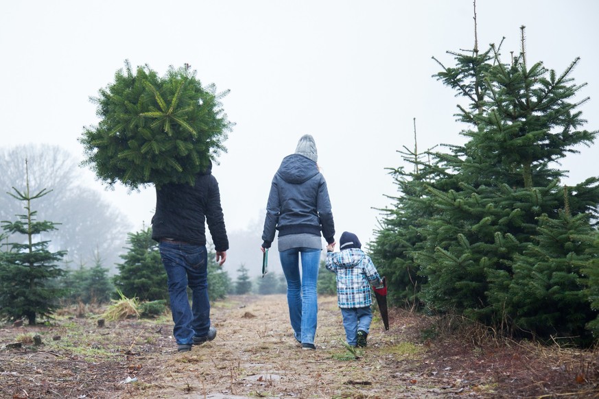 ILLUSTRATION - Ob selbst geschlagen oder aus dem Baumarkt, erst mit einem Christbaum wird Weihnachten f