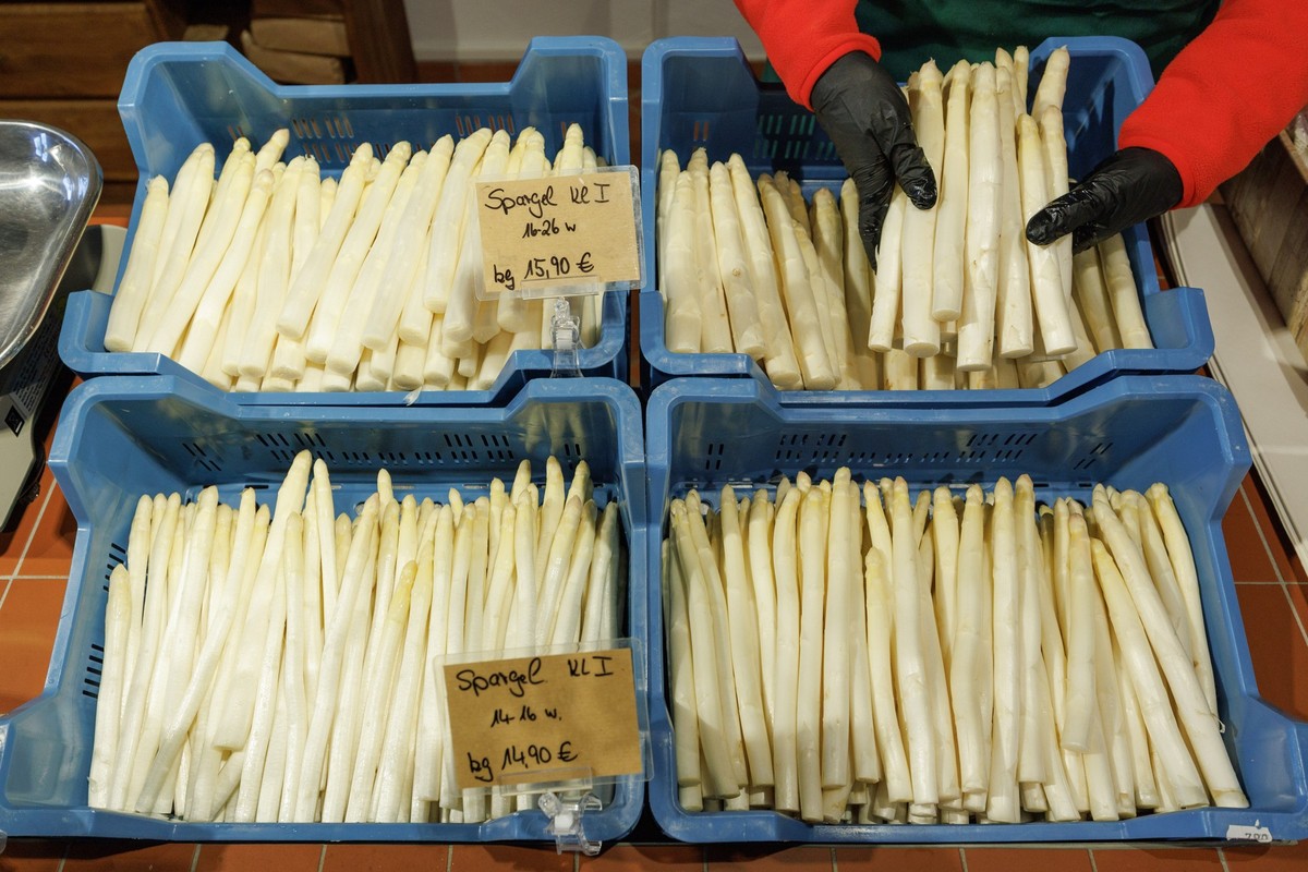 10.04.2025, Niedersachsen, Glandorf: Kisten mit weißem Spargel werden zum Verkauf angeboten zur Eröffnung der Spargelsaison durch die Vereinigung der Spargelanbauer Westfalen-Lippe und der Vereinigung ...