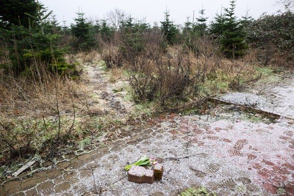 26.01.2023, Niedersachsen, Wunstorf: Blumen liegen an einer Tannenbaumschonung und einem Brachgelände in Wunstorf-Blumenau in der Region Hannover. Nach dem Fund der Leiche eines 14-jährigen Jungen in  ...