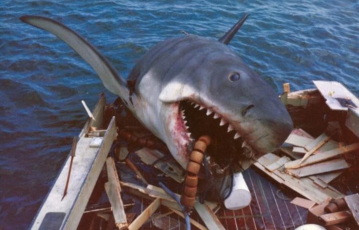 "Der weiße Hai" von Steven Spielberg feiert Jubiläum.