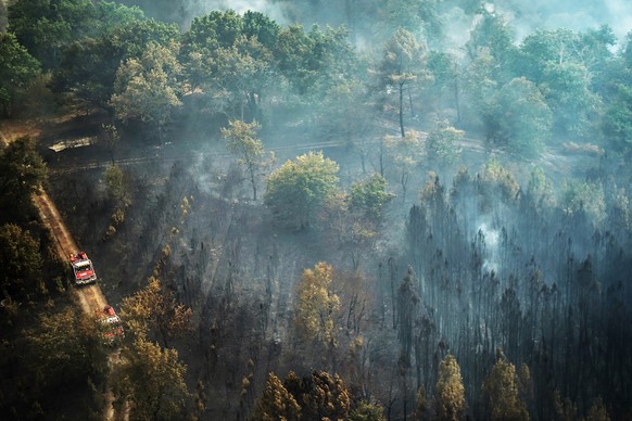 Die Feuerwehr in Südfrankreich bekämpft die Waldbrände.