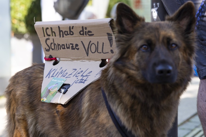 Klimastreik Fridays for Future 15092023 - Mehrere 1000 Menschen haben am Jungfernstieg in Hamburg am Globalen Klimastreik 2023 teilgenommen. Zu ihnen sprachen unter anderem die Oma der Klimaaktivistin ...