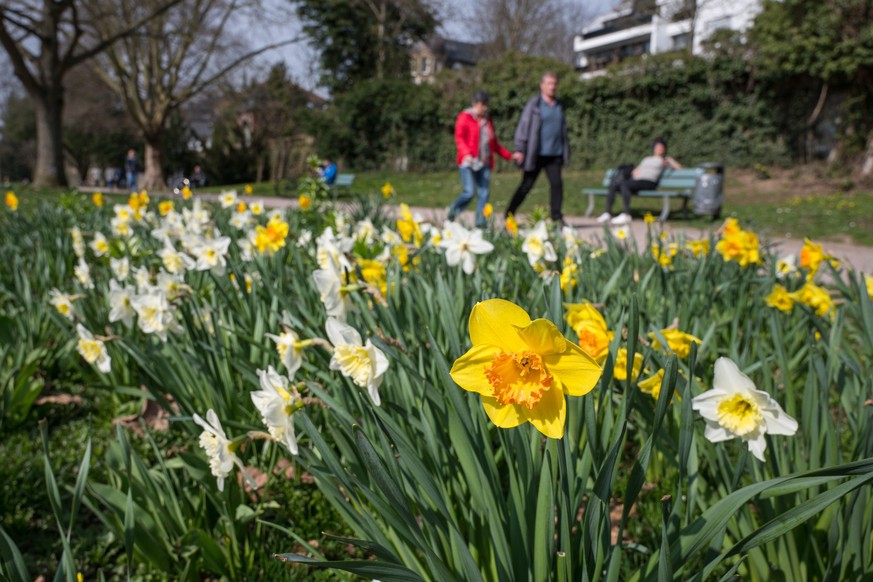 ARCHIV - 18.03.2020, Saarland, Saarbrücken: Am Saarbrücker Staden blühen die ersten Blumen. Viele Menschen nutzen das frühlingshafte Wetter für einen Spaziergang an der frischen Luft. (zu dpa: «Neue W ...