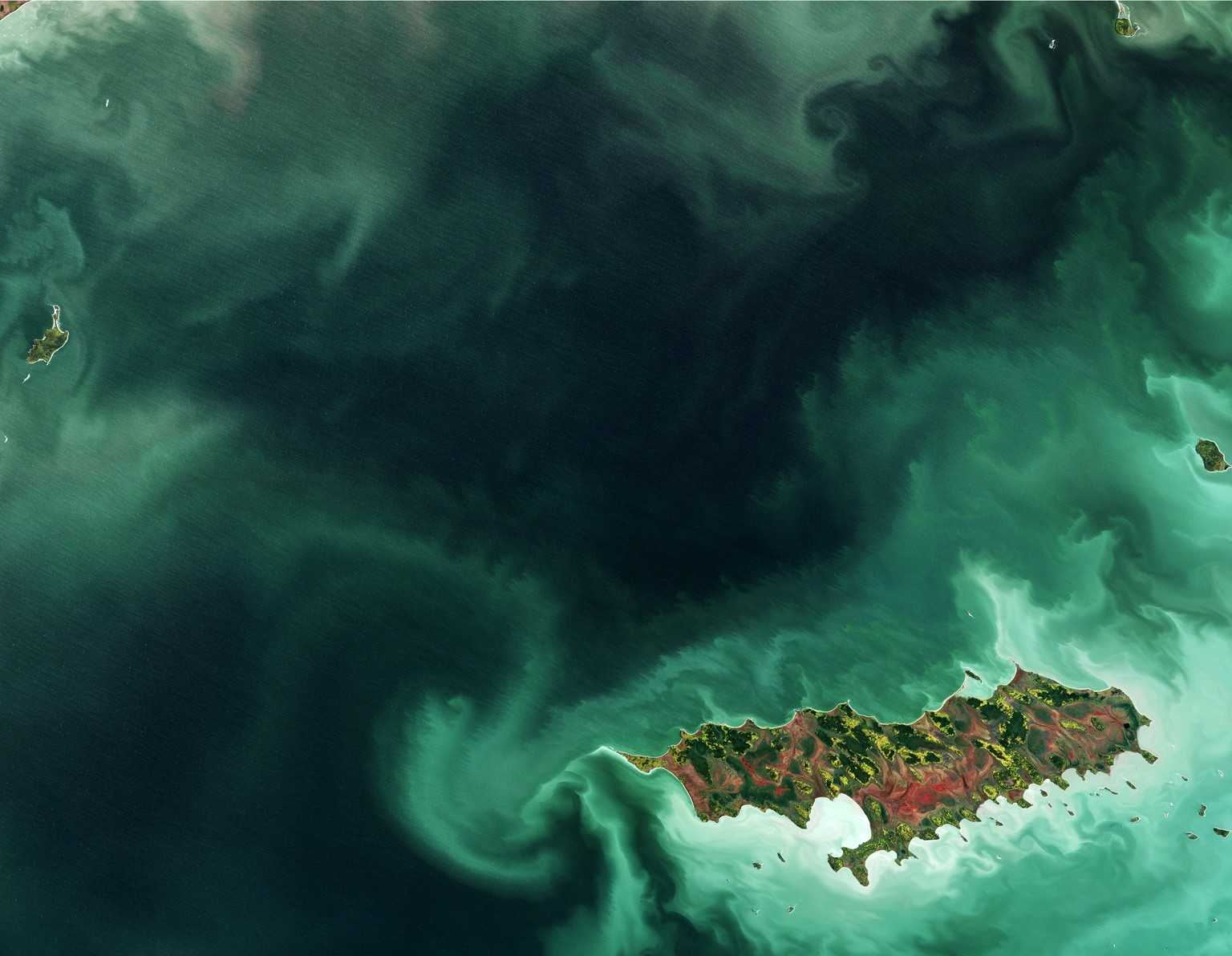 Die Rentier-Insel im kanadischen Winnipeg-See 
