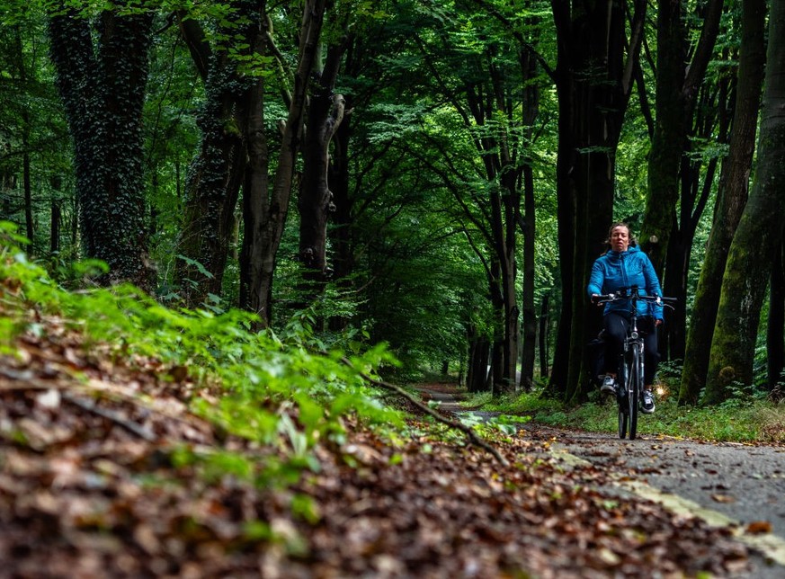 NIJMEGEN, GELDERLAND, NETHERLANDS - 2023/09/23: A woman is seen cycling along a bike path in the forest. (Photo by Ana Fernandez/SOPA Images/LightRocket via Getty Images)