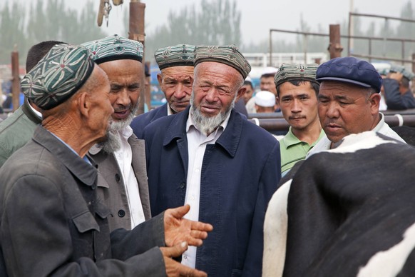 Uyghur farmers wearing doppas, trading cows at the cattle market in Kashgar / Kashi, Xinjiang, China PUBLICATIONxINxGERxSUIxAUTxHUNxONLY 333DG8KN

Uyghur Farmers Wearing Trading Cows AT The Cattle M ...