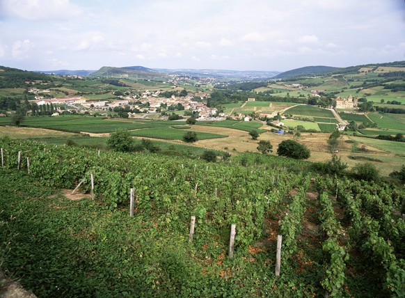 Maconnais vineyards, Poilly Fuisse, near Macon, Saone-et-Loire, Burgundy, France, Europe PUBLICATIONxINxGERxSUIxAUTxONLY Copyright: DavidxHughes 255-5739

VINEYARDS Near Macon Saone Et Loire Burgund ...