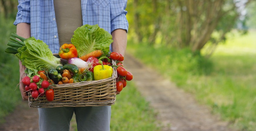 Portrait of a happy young farmer holding fresh vegetables in a basket. Concept biological, bio products, bio ecology, grown by own hands, vegetarians, salads healthy