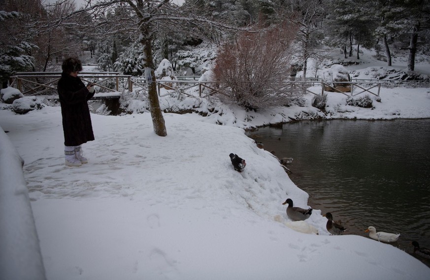 A woman takes pictures of ducks at Lake Mpeletsi in the village of Ippokratios Politia, about 35 kilometers (21 miles), north of Athens, Greece, Tuesday, Jan. 30, 2024. A cold weather front hit the Gr ...