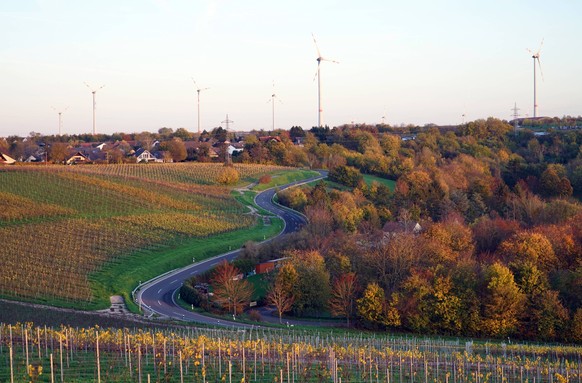 Herbst in Rheinhessen mit sich durch die Weinberge windenen Serpentinenstraße, Rheinland-Pfalz, Deutschland *** Autumn in Rheinhessen with itself through the Vineyards squirm serpentine road, Rhinelan ...