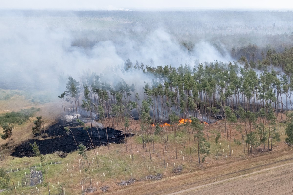 03.07.2025, Sachsen, Nieska: Ein Feuer brennt bei einem Wald- und Vegetationsbrand in der Gohrischheide im Landkreis Meißen (Luftaufnahme mit Drohne). An mehreren Orten im Osten Deutschlands kämpfen d ...