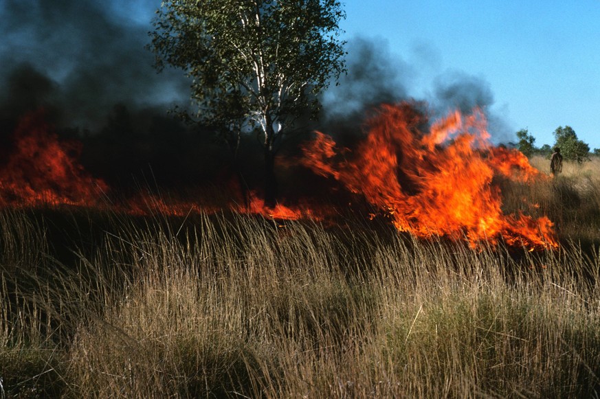 Angehörige des Warlpiri-Stammes zünden Grasland an um es fruchtbarer zu machen – und Buschbrände zu vermeiden.