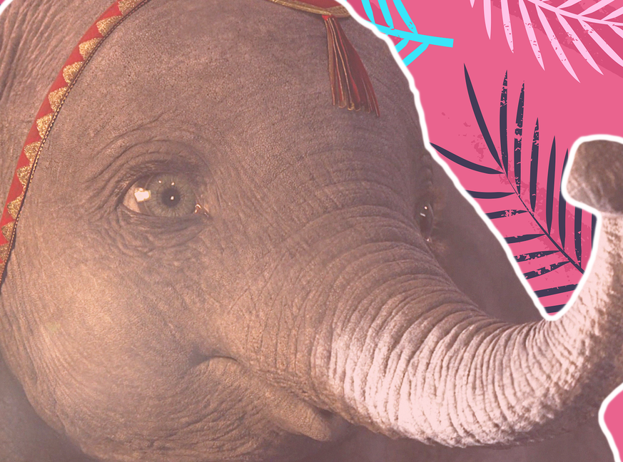 Achtung: Dieser Babyelefant sieht aus, als wäre Dumbo in den Farbtopf gefallen!
