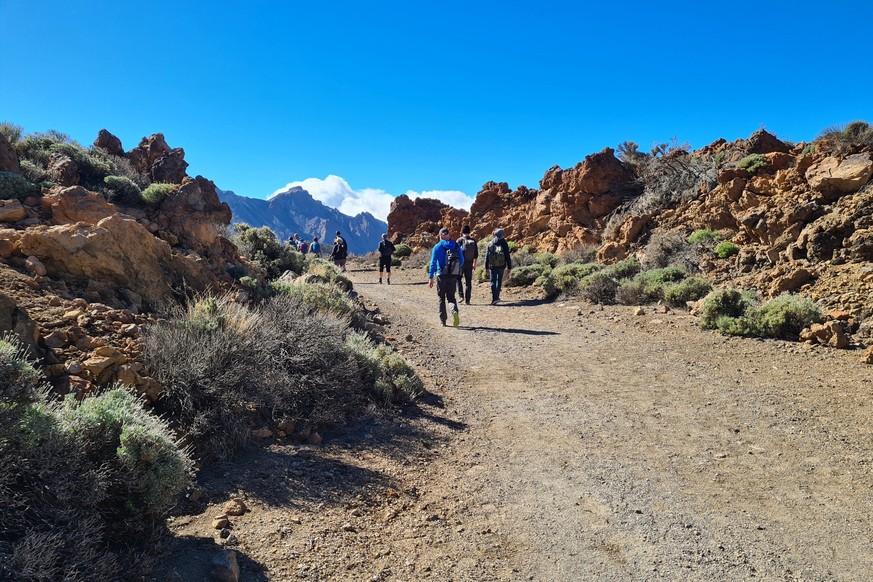 ARCHIV - Unterwegs am Teide: Die Vulkanlandschaft auf Teneriffa ist geologisch interessantes Wanderareal. Foto: Roswitha Bruder-Pasewald/dpa-tmn/dpa-mag - Honorarfrei nur für Bezieher des dpa-Themendi ...