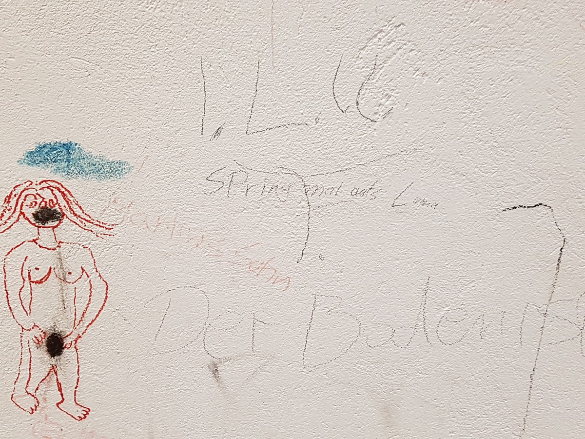 Die Zeichnung einer nackten Frau, in die jemand offenbar eine Zigarette gedrückt hat. Einfach nur ekelhaft. Aber daneben der Satz: "Spring mal aufs Lama." Wie kam es dazu? 