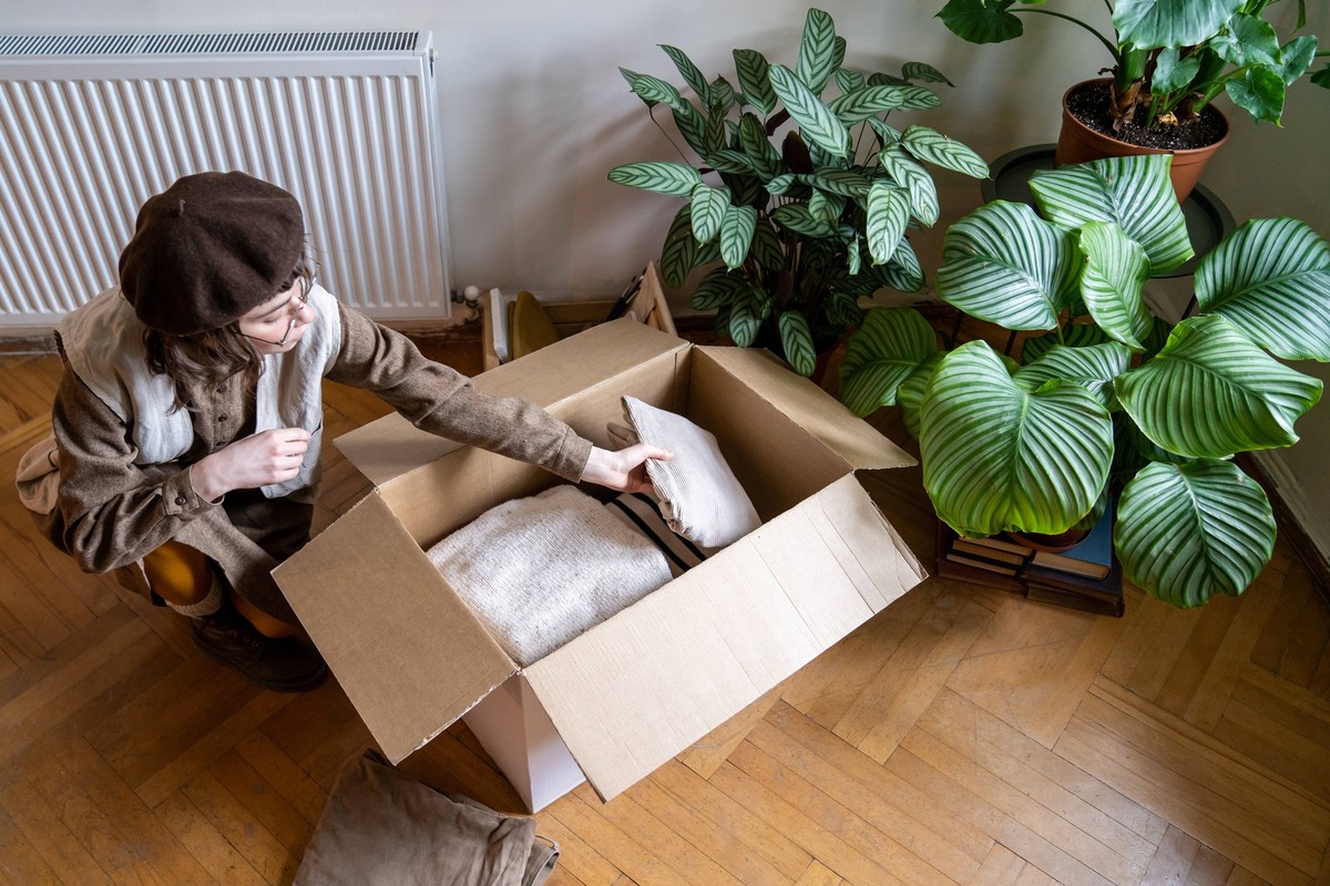 Millennial-Mädchen packt Kleidung für den Umzug Millennial girl packing clothes for moving into new apartment, using cardboard box, donating clothing items. Young woman unpacking after move. Clothing  ...