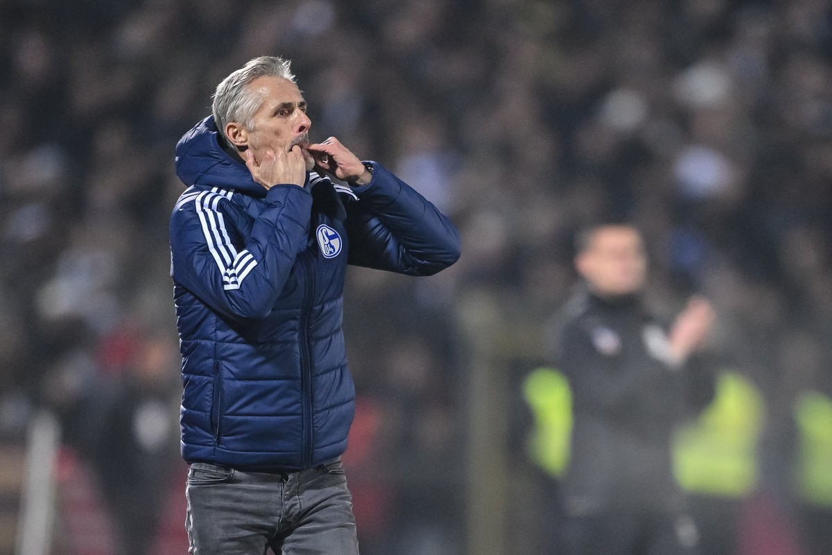 01.11.2024, Baden-Württemberg, Ulm: Fußball: 2. Bundesliga, SSV Ulm 1846 - FC Schalke 04, 11. Spieltag, Donaustadion. Schalkes Trainer Kees Van Wonderen gestikuliert. Foto: Harry Langer/dpa - WICHTIGE ...