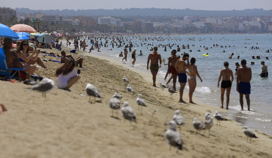 18.07.2023, Spanien, Palma de Mallorca: Möwen stehen am Ufer während sich Menschen bei heißen Temperaturen am Strand von Arenal abkühlen. Für den Norden und Osten der spanischen Mittelmeer-Insel Mallo ...