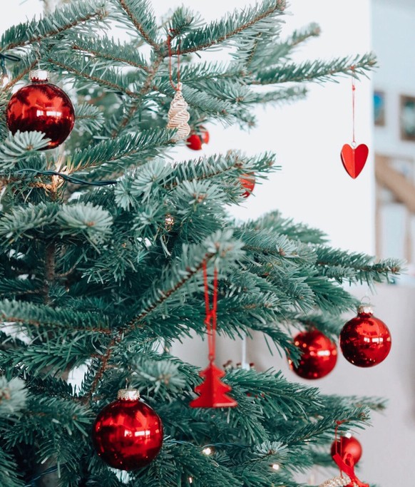Weihnachtsbäume gehören für viele Menschen zum Fest dazu. Auch für Katja.