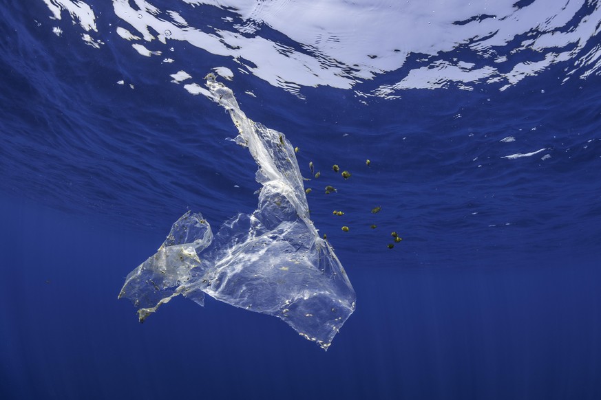 Der Plastikanteil in den Meeren ist gefährlich hoch.
