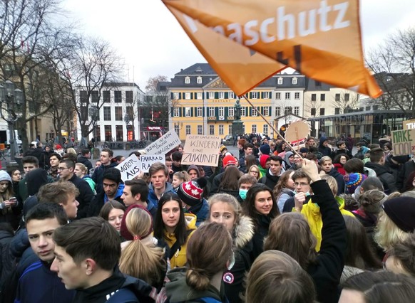 Die Fridays for Future-Demos geben Luisa Müller viel Kraft.