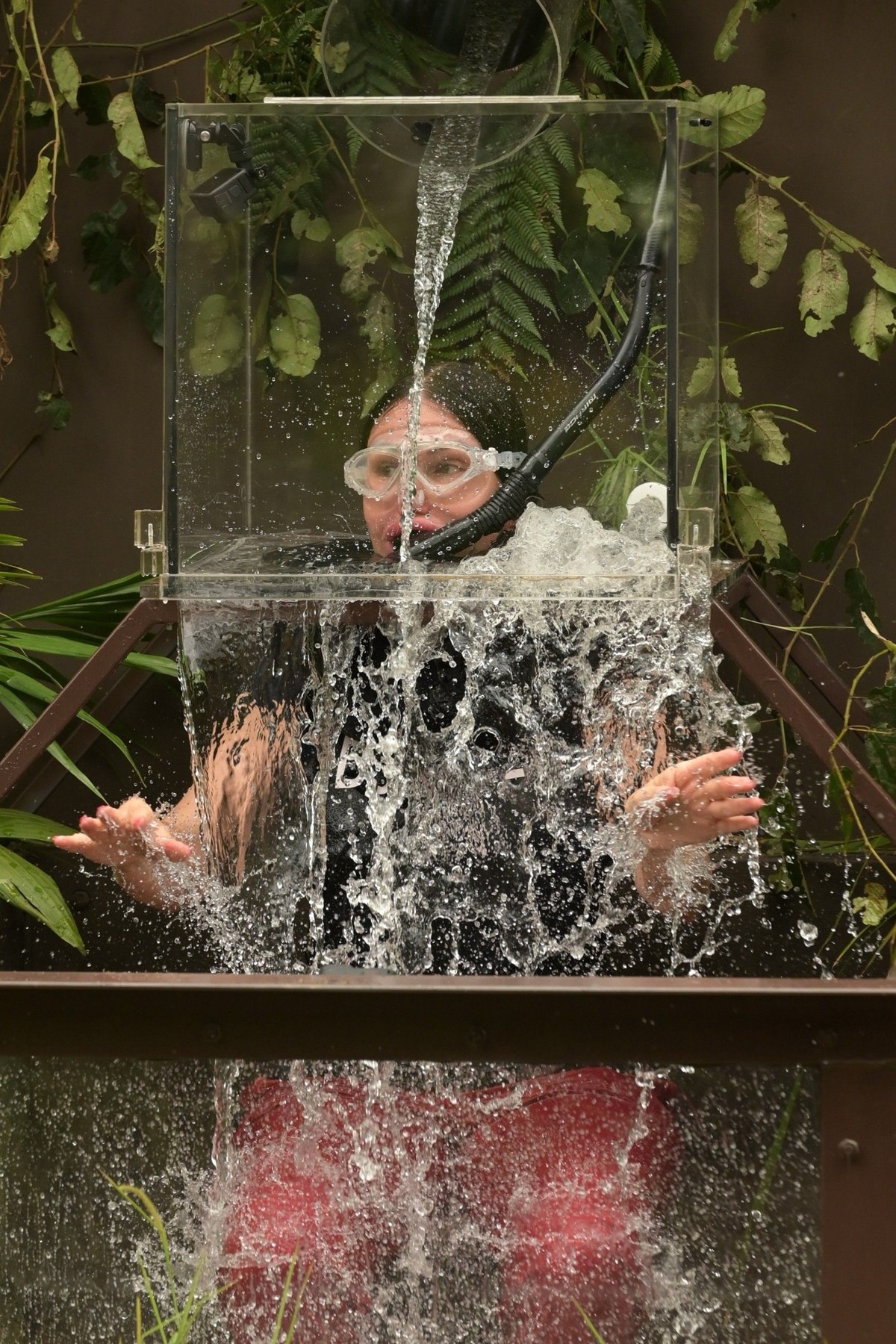 ACHTUNG: SPERRFRIST FÜR ALLE MEDIEN BIS SONNTAG, 29.01.2023, 24.00 UHR !!! Tag 17. Djamila Rowe kämpft in der Dschungelprüfung "Korrekt" um die Vorspeisen. Das Aquarium soll erst mit Wasser ...