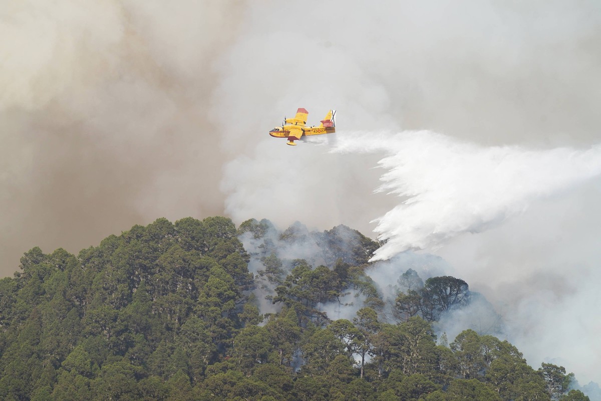 Out Of Control Wildfires Rage In Tenerife - Canary Islands A seaplane drops water on the forest fire, on August 17, 2023, in La Orotava, Tenerife, Canary Islands, Spain. The City Council of La Orotava ...