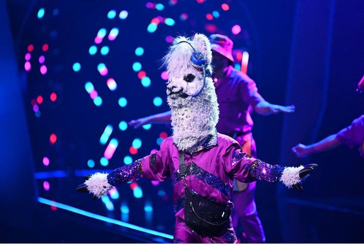Masked Singer Alpaka