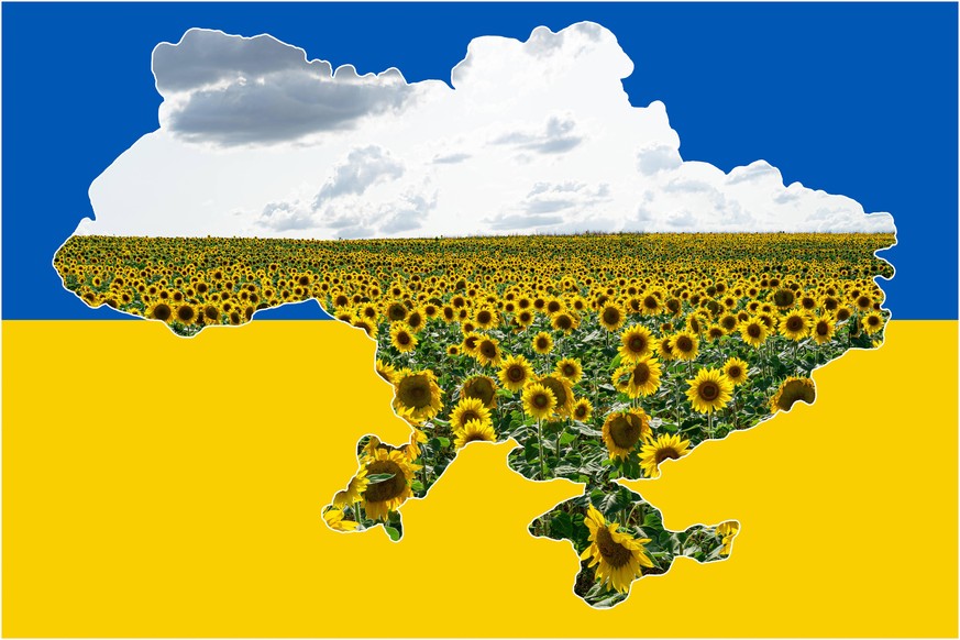 Die Ukraine fällt als weltweit größte Anbau-Nation für Sonnenblumen. Zusammenhänge, die vielen Menschen bis zum Krieg nicht bewusst gewesen sein dürften.