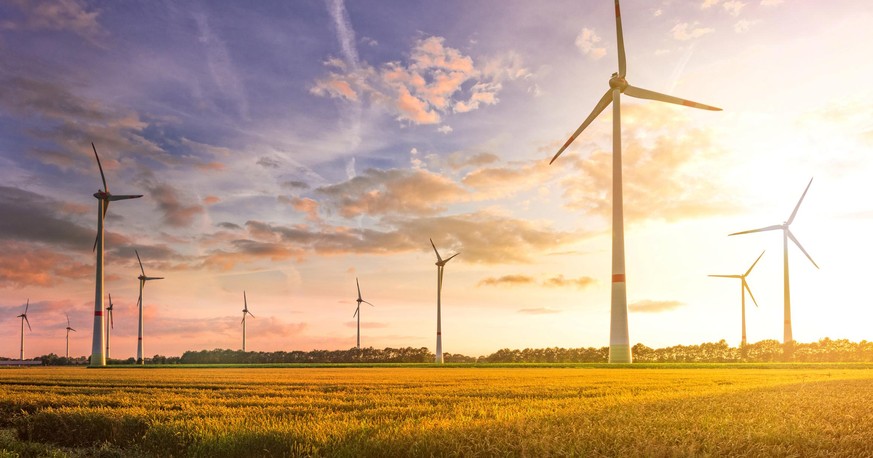 wind turbine field